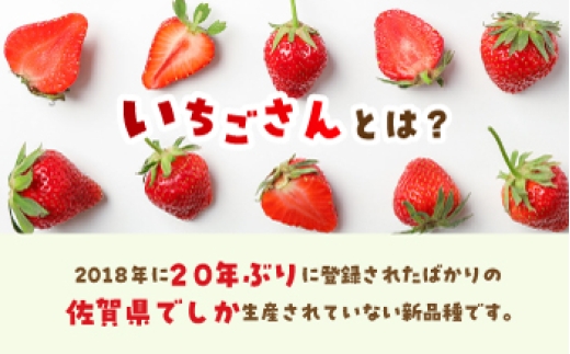 【全3回定期便】いちごさん