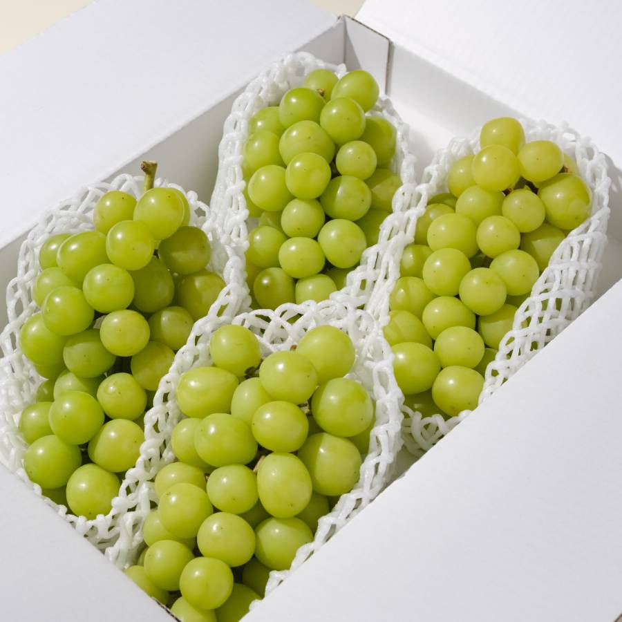 ＜Bonchi＞シャインマスカット4~5房入(約2.2kg)