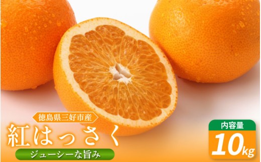 みかん はっさく 10kg 先行予約 八朔 国産 紅八朔 紅はっさく 蜜柑 柑橘 ミカン オレンジ 数量限定 特産品 期間限定 徳島 フルーツ 果物 オレンジジュース おやつ デザート 徳島県 三好市 みよし miyoshi 小笠原智