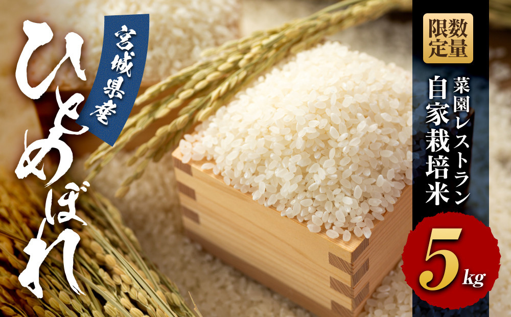 【令和7年産】数量限定　菜園レストラン「野の風」自家栽培米　ひとめぼれ5kg