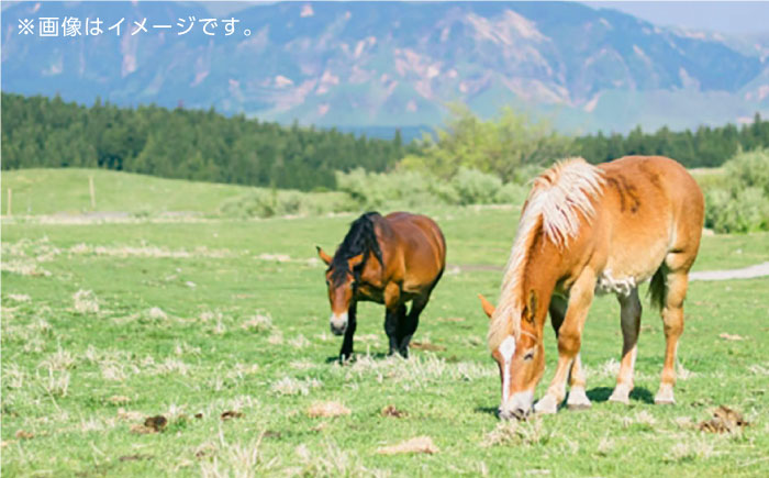 霜降り 馬刺し スライス 200ｇ【やまのや】 [YDF042]