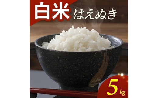 令和7年産【白米】はえぬき　5kg(5kg×1袋) YA SA2846