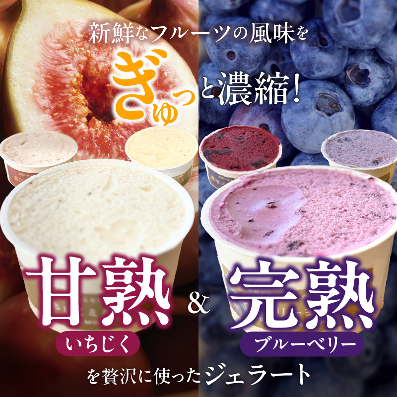 甘熟いちじくとブルーベリーのプレミアムジェラートセット 各1個 碧南市産 甘熟 いちじく 完熟 ブルーベリー 贅沢 スイーツ デザート おやつ カップ 6種 食べ比べ チーズ ミルク ヨーグルト H164-012