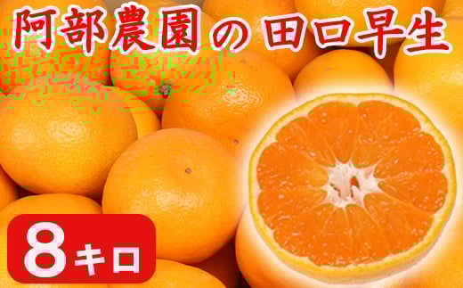
            【訳あり品】阿部農園の「田口早生 約8kg」 ／ ミカン みかん 蜜柑 柑橘類 糖度 訳あり 11月 先行予約 年内配送 甘い 温州みかん 早生 年内発送 フルーツ ＜112-001＞
          