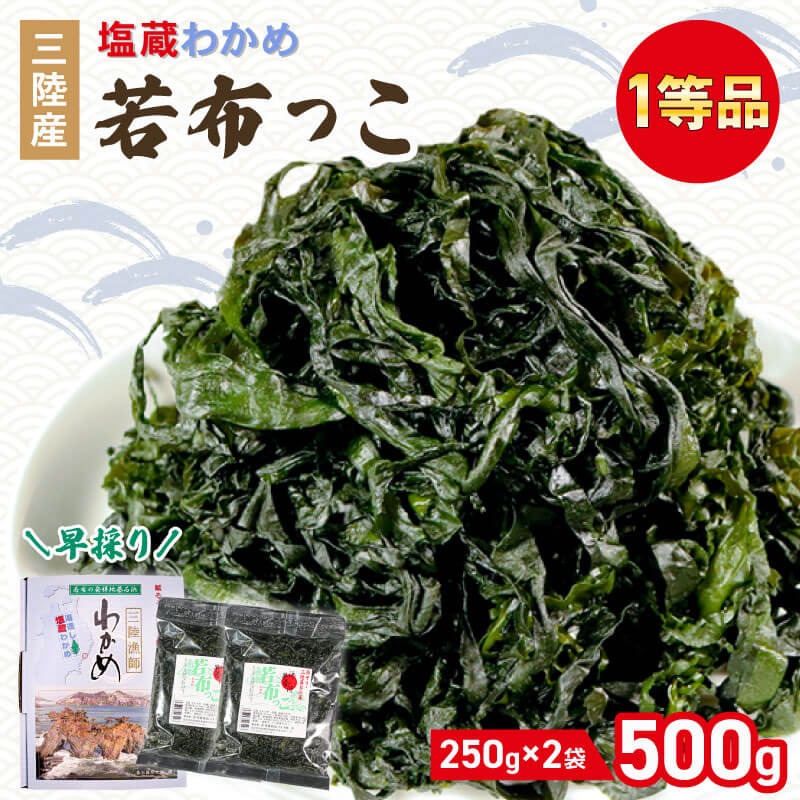 早採り 塩蔵わかめ 若芽っこ 250g×2袋 海鮮 海藻 わかめ ワカメ 魚貝類 魚介類 みそ汁 スープ 酢の物 小分け 贈答品 贈答用 三陸産 岩手県 大船渡市 [saitou005]