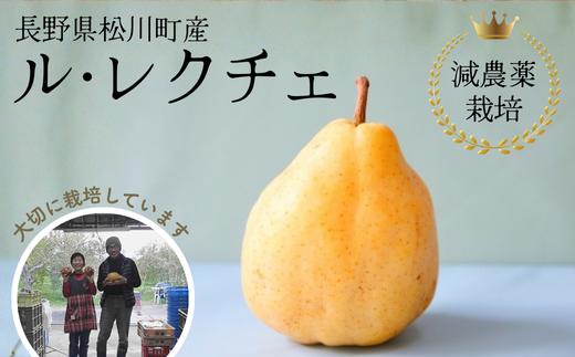 YN11 洋梨 ル・レクチェ  約4kg 秀品 減農薬栽培／2026年11月下旬頃から配送予定 // 洋ナシ 洋なし 洋梨 ルレクチェ 減農薬栽培 農家直送 農家支援 長野県 松川町産