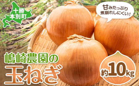 玉ねぎ たまねぎ 玉葱 選べる 約10kg サイズ混合《10月上旬‐2月末から順次出荷》嶋崎農園 送料無料 北海道 本別町 北海道 十勝 本別町産 オニオン カレー サラダ スープ 野菜