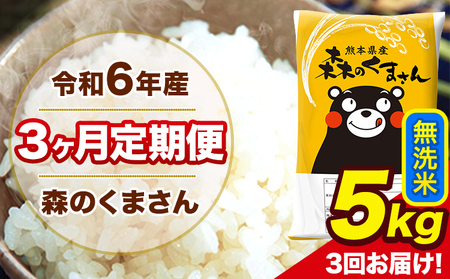 令和6年産 森のくまさん 無洗米 5kg 5kg×1袋 計3回お届け 《お申し込み月の翌月から出荷開始》 お米 こめ 熊本県産 ご飯 備蓄