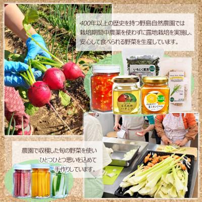 ふるさと納税 東久留米市 〈2025年9月〜2026年5月 常温便〉【東京都東久留米市】旬野菜と加工品のセット 10品以上 |  | 02