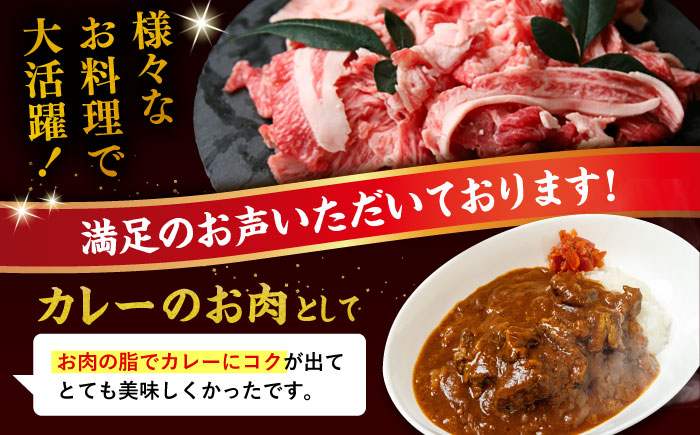 【全3回定期便】博多和牛 切り落とし 1kg（500g×2P） 糸島市 / 幸栄物産 肉 牛肉 博多 和牛 黒毛和牛 切り落とし 500g 小分け 袋 [ABH014]