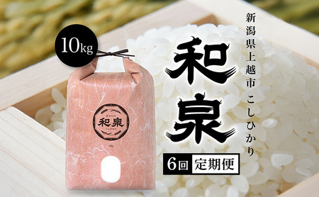 【先行予約　10月中旬より順次出荷】令和7年産　上越産こしひかり『和泉』10kg 6回定期便 上越市 精米 米 ギフト 喜ばれる