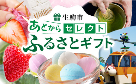 あとからセレクト【ふるさとギフト】1万円 ギフト券 ギフト 券 クーポン ラムネ 編針 お酒 スイーツ 茶筅 お茶 はちみつ アクセサリー 焼菓子 いちご タルト カレー 遊園地 工具箱 食事券 パン サイン だし 生駒市 送料無料