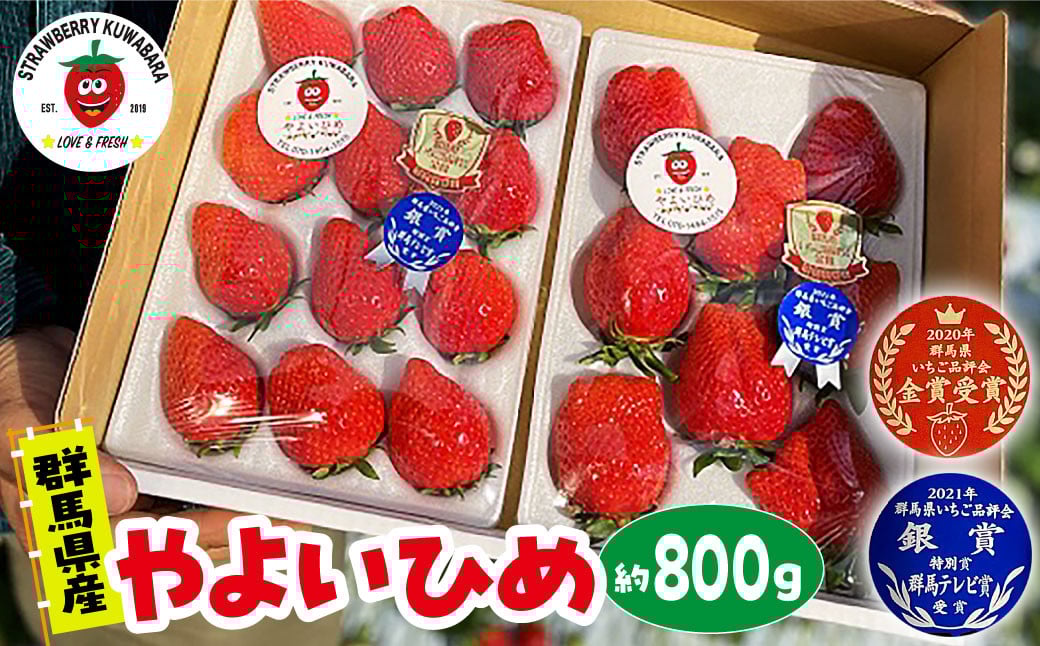 
            【2026年 先行予約】いちご やよいひめ（贈答用化粧箱入り）約800g｜ 朝採れ やみつき高品質 たっぷり 贈答用 新鮮 完熟 いちご 旬 苺 ストロベリー 高級 産地直送 果汁 甘い あまい 人気 高評価 減農薬 有機肥料 高糖度 ごほうび プレゼント 群馬県 前橋市
          