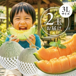 SA2948　美味しいメロンの食べ比べ 「秀品 青肉メロン＆赤肉メロン」　計2玉(各大玉3L・1玉)