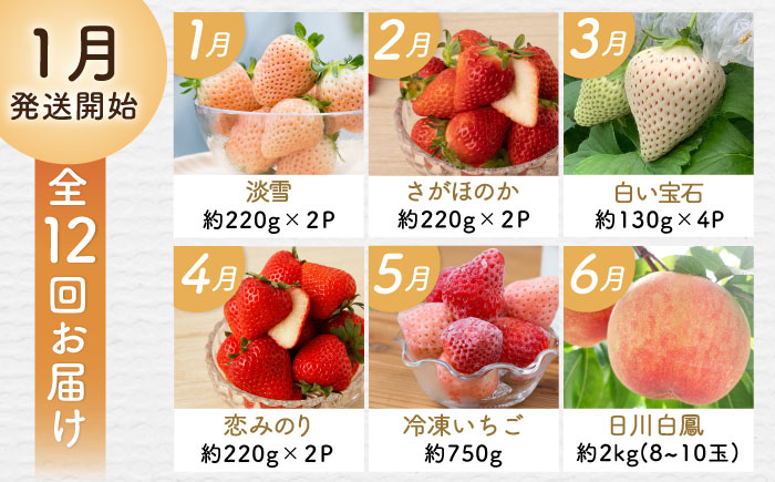 【全12回定期便】佐賀県の生産者を応援！佐賀の旬フルーツ食べ尽くし定期便 / 梨 シャインマスカット 桃 みかん フルーツ / 佐賀県ふるさと納税 [41AAZZ013]