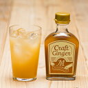 【ふるさと納税】【無添加】ジンジャーシロップ＜マイルド＞Craft Ginger M 200ml×2本 生姜 ショウガ しょうが ジンジャー シロップ お取り寄せ ジンジャーエール 炭酸割り 高知県 香美市 送料無料