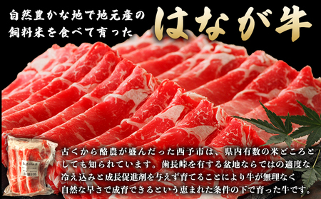 ＜熟成肉 はなが牛リブロース スライス 合計800g（200g×4袋）＞ 牛肉 すき焼き すきやき しゃぶしゃぶ 国産 国産牛 スライス肉 霜降り しもふり 小分け 使いやすい 便利 グルメ 特産品 