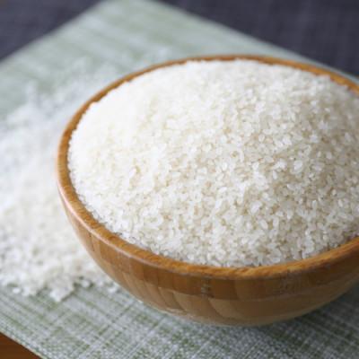 ふるさと納税 酒田市 雪若丸　5kg　精米 |  | 01