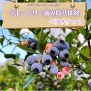 【ふるさと納税】ブルーベリー 摘み取り 体験 ペア チケット 千葉県 千葉 観光 夏 JR 我孫子市 我孫子 農園 手賀沼 7月 8月 思い出 家族 我孫子駅 北柏駅 生 おすすめ おいしい 収穫 イベント 夏休み 観光農園 新鮮 食べ比べ 国産 甘い ブルーベリー摘み 2名 大粒 20種類