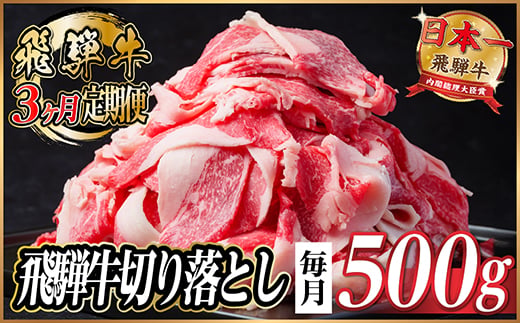 
            ＜毎月定期便＞飛騨牛　切り落とし　約500g＜冷蔵便＞全3回【4055013】
          