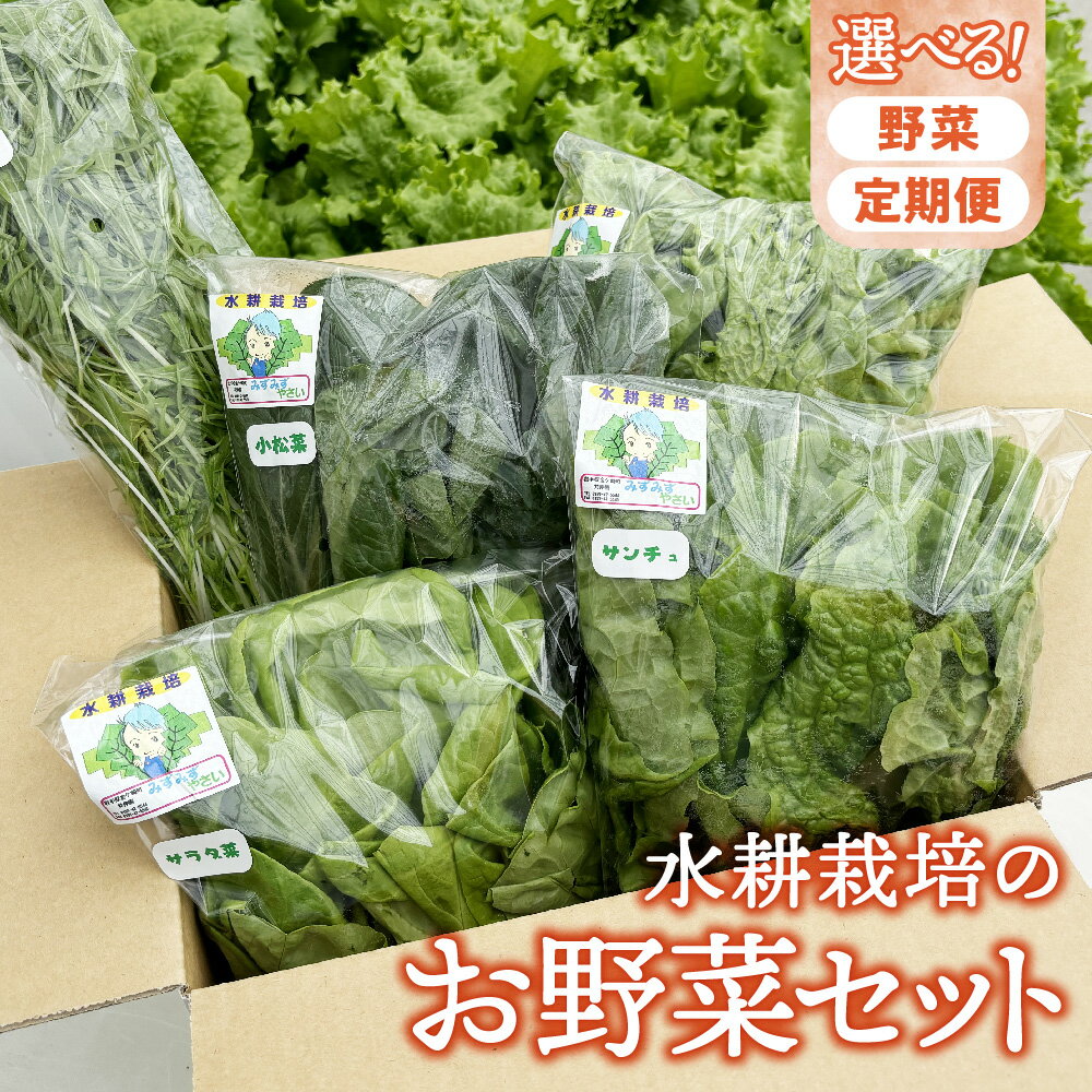 【ふるさと納税】野菜 詰め合わせ 水耕栽培 5袋 ( レタス チンゲン菜 小松菜 山東菜 水菜 わさび菜 ）3 ～ 5種類 詰合せ おまかせ セット スムージー 野菜セット 中華 料理 サラダ 葉物野菜 栄養 岩手県 金ケ崎町