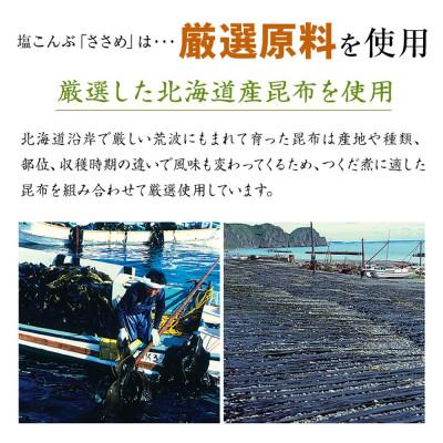 ふるさと納税 小豆島町 島乃香 汐ふき昆布 ささめ 100g×10袋[塩こんぶ] |  | 02