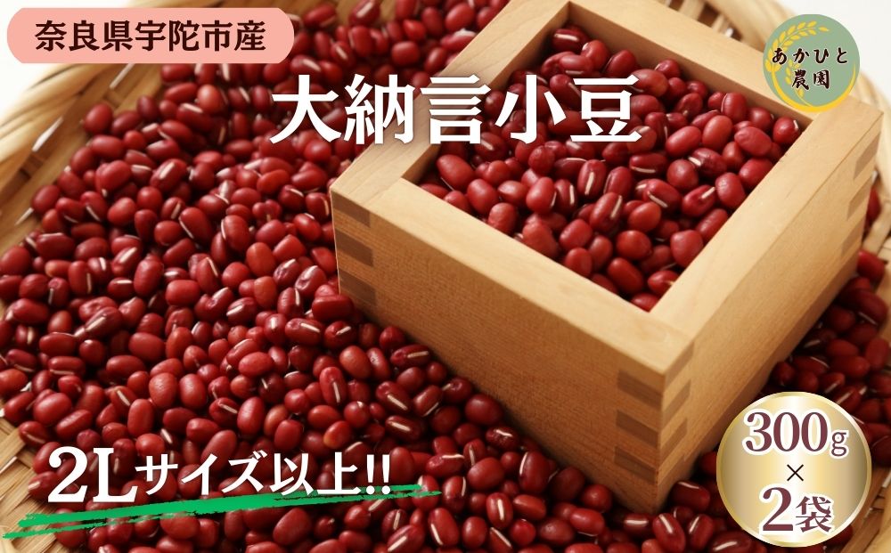 宇陀大納言小豆300g×2袋（2Lサイズ以上） ／ ふるさと納税 小豆 国産 あずき 大納言 あんこ 奈良県 宇陀市 あかひと農園