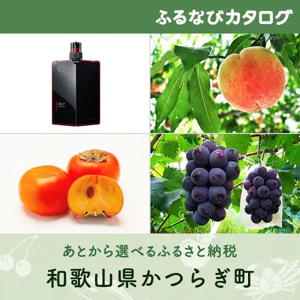 【有効期限なし！後からゆっくり特産品を選べる】和歌山県かつらぎ町カタログポイント