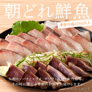 【6ヶ月定期便】大和の高級お刺身 4人前【冷凍】 N072-YE133-2