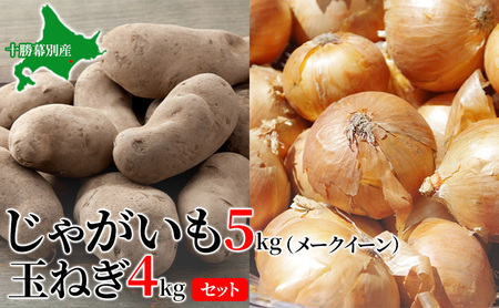 先行予約 メークイン5kg 玉ねぎ4kg セット じゃがいも