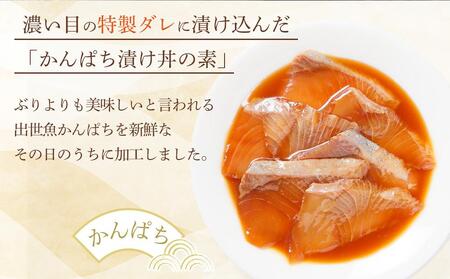 高知の海鮮丼の素「かんぱちの漬け」約80g×5パック 【興洋フリーズ株式会社】 [ATBX029]