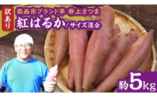 
            【 よしのいも 】訳あり 井上さつま 「 紅はるか 」 サイズ混合 約5kg ( 土なし ) 特別栽培 特別栽培農産物 完熟 さつまいも いも おいも 焼き芋 芋 おやつ まごころ野菜よしの [DX019ci]
          