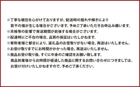 【2023年8月上旬発送開始】糖度18度以上を厳選してお届け！ 熊本県産 大房 シャインマスカット 2房 1.5kg以上 マスカット フルーツ 果物 くだもの