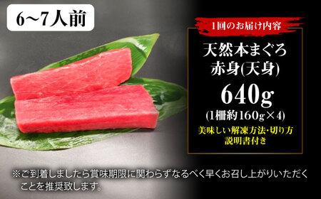 【全12回定期便】たね熟天然本まぐろ赤身(640g) [AOCE018] まぐろ まぐろ まぐろ まぐろ まぐろ まぐろ