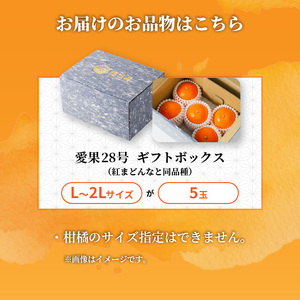 愛果28号 (紅まどんな と同品種) ギフトボックス Lから2Lサイズ 5玉 贈答用 A品 秀品 【2026年11月下旬より順次発送】 | あいか 紅まどんな 紅マドンナ と 同品種 愛媛みかん みか