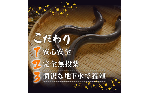 国産 うなぎ 蒲焼き 10尾 ( 1尾 約220g ) 尾頭付き 土用の丑の日 高知県産 蒲焼 特大 特上 鰻 ひつまぶし うな丼 うな重 お歳暮 ギフト 冷凍 養殖 ふるさと納税うなぎ 高知県 須崎