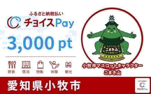 
            小牧市チョイスPay 3,000pt【会員限定のお礼の品】
          