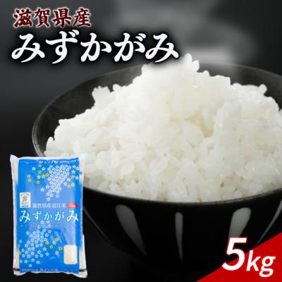 ふるさと納税 彦根市 令和8年産 新米 みずかがみ 5kg 【滋賀でとれたお米、近江米!】