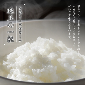 《2025年10月以降順次発送》福島県二本松市産コシヒカリ 二本松十万石米5kg×2袋 こしひかり 米 白米 ふっくら 甘い 人気 ランキング おすすめ ギフト 故郷 ふるさと 納税 福島 ふくしま 