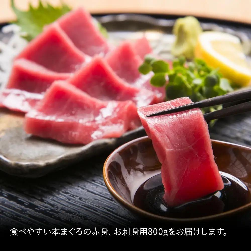 本マグロ お刺身 赤身 5人前 (800g) | 本マグロ 津久見市