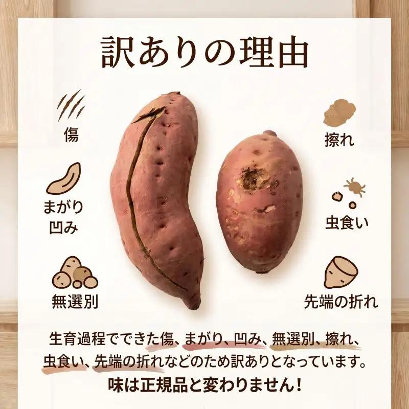 【11月中旬～12月下旬発送】 訳あり さつまいも 紅はるか 約10kg さつまいも