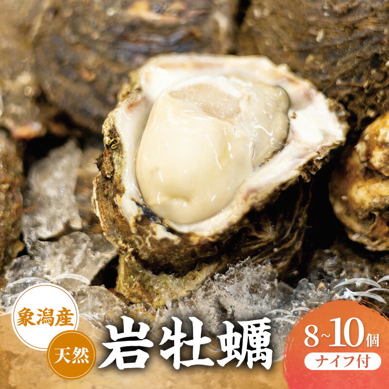 【ふるさと納税】【先行予約 7月上旬～下旬発送予定】にかほ市産　岩牡蠣 8～10個 ナイフ付【牡蠣 夏牡蠣 かき 象潟 魚介類 海鮮　海産物 海の幸】【秋田商店】　お届け：2026年7月1日～2026年8月10日※状況によって希望通りお届けできない場合もあります。