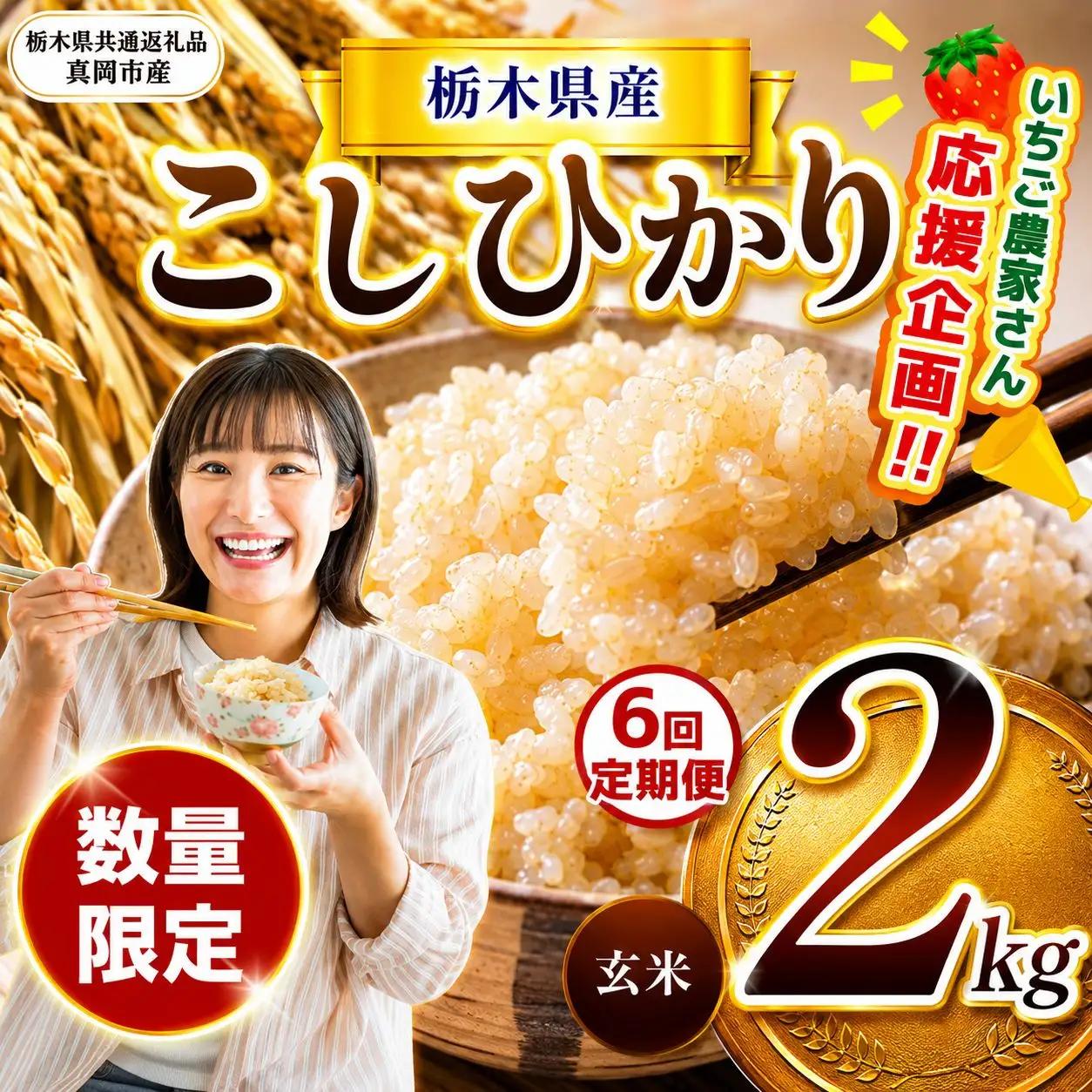 【先行予約】【定期6回】令和8年度産 栃木県産こしひかり（玄米）約2kg