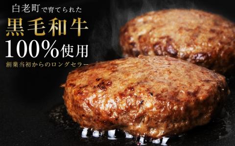 いわさき黒毛和牛 創業ハンバーグ 120g×10個 冷凍 白老和牛 和牛 牛肉 100％ ギフト AB022