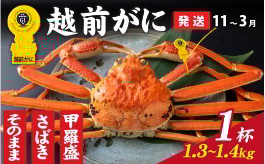 【先行予約】選べる！美味しさ直送【成前特選】越前かに（1.3kg～1.4kg）×1杯【11月～3月発送】捌き [P-028051_08] / 福井県 福井 オス 雄 ズワイガニ ボイル 冷蔵 越前ガニ 越前がに 越前カニ ずわいがに ずわい蟹 かに カニ 蟹 指定 茹で 甲羅盛り 甲羅盛 すがた 姿 チルド 越前蟹 ずわい ズワイ 茹で蟹 茹で むき身