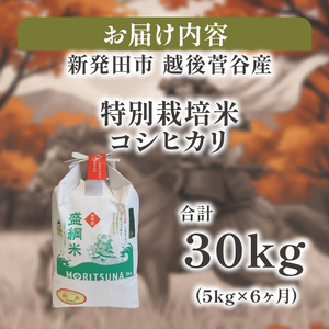 【定期便】5kg 6ヶ月【数量限定】令和7年産 コシヒカリ 玄米 精米 特別栽培 D53_03
