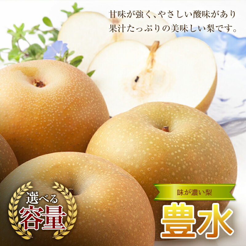 【ふるさと納税】【容量が選べる！】《2025年秋出荷》味が濃い梨 豊水 梨 先行予約 なし 果物 くだもの デザート ギフト ナシ 甘い 福島県 白河市 F21R-854var