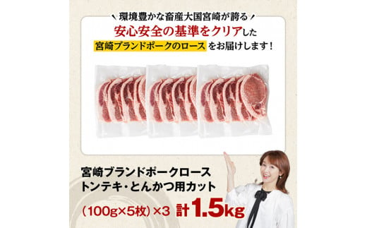 宮崎ブランドポーク ローストンテキ・とんかつ用カット 1.5kg　豚肉[E11303]