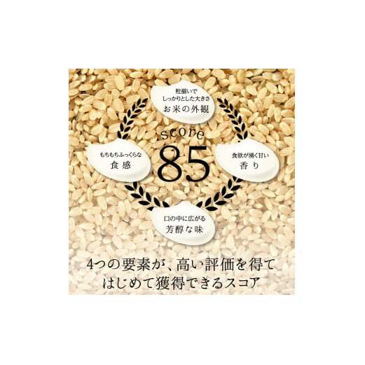 ≪先行予約≫【9回定期】特別栽培米 コシヒカリ ヒロシノキモチ 精米 10kg 総計90kg ブランド米 銘柄米 国産 米 お米 日本米 ギフト 贈り物 備蓄 防災 食品 陽咲玲 はるざれ F6T-8