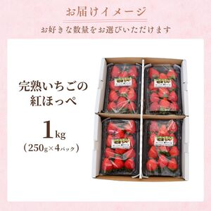 【1月下旬発送】甘熟いちごの紅ほっぺ 1kg (250g×4パック) | いちご 苺 イチゴ 紅ほっぺ べにほっぺ 甘い 完熟 完熟いちご 濃厚 果物 フルーツ おやつ デザート ストロベリー パフェ